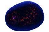 Polished Yooperlite Pebble - Highly Fluorescent! #177441-1